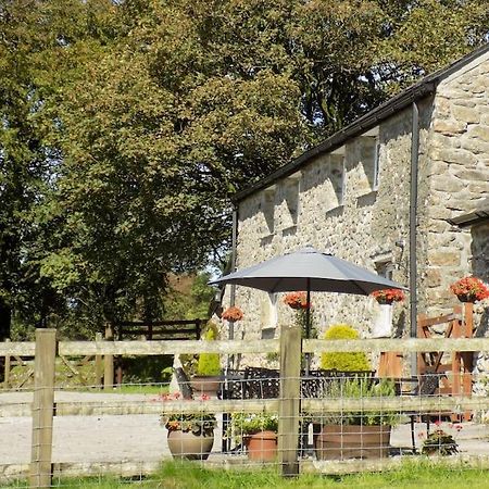 Lower Willsworthy Cottage Τάβιστοκ Εξωτερικό φωτογραφία
