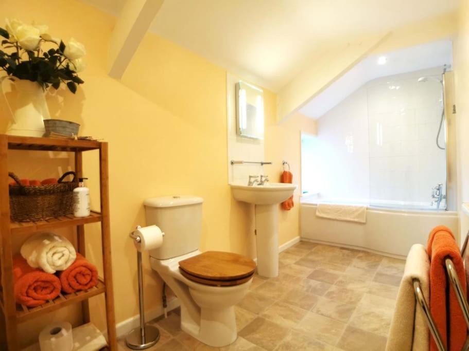 Lower Willsworthy Cottage Τάβιστοκ Εξωτερικό φωτογραφία