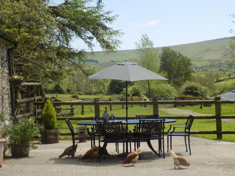 Lower Willsworthy Cottage Τάβιστοκ Εξωτερικό φωτογραφία